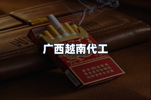 广西越南代工